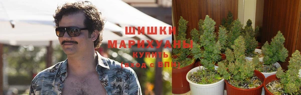 молекула духа Струнино