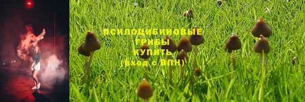 стаф Строитель