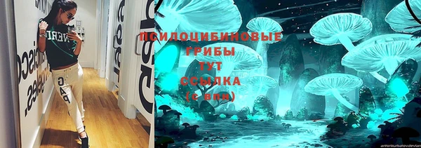 молекула духа Струнино